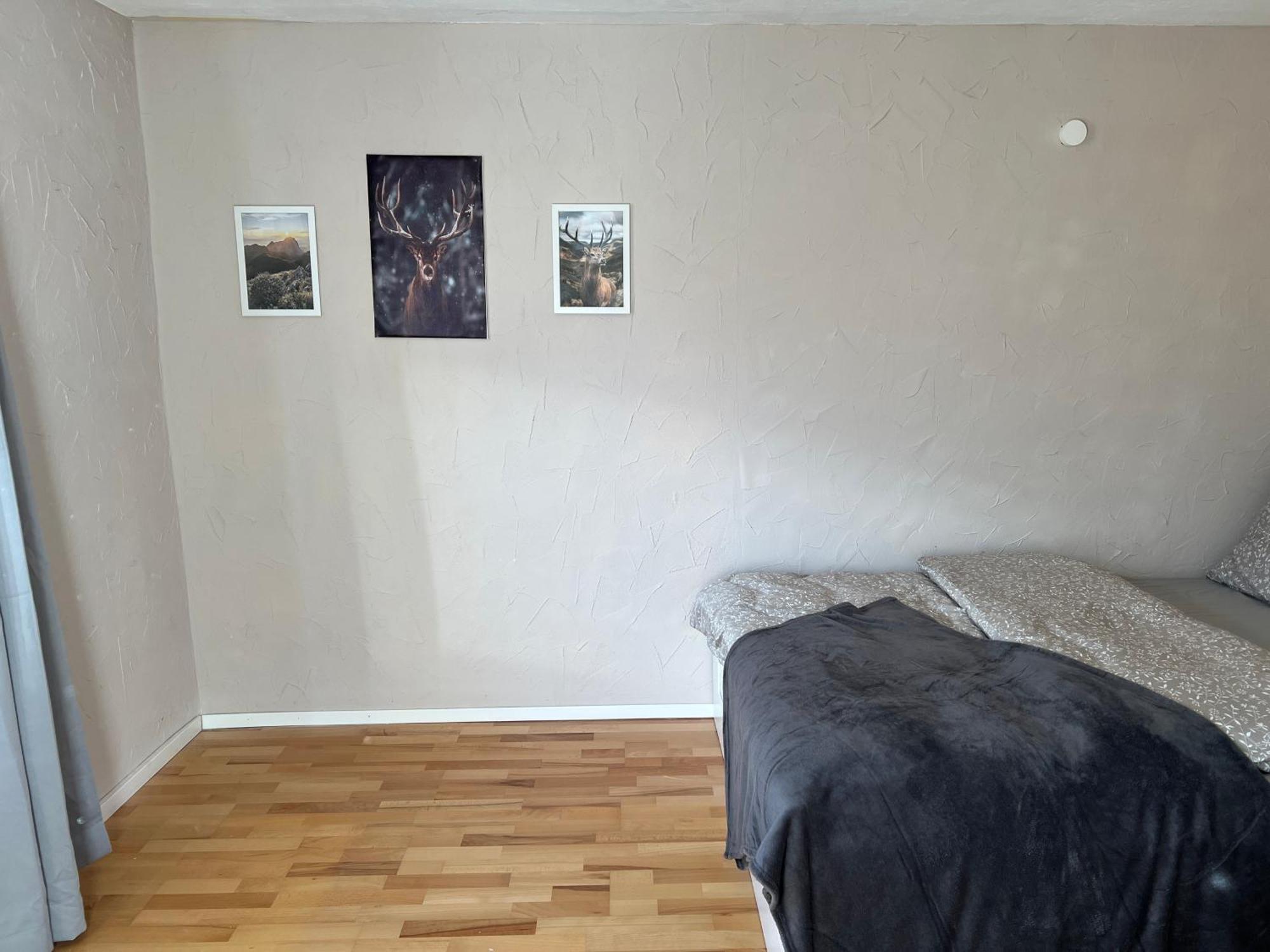 Beim Patzelt - Ferienhaus In Nesselwang Dış mekan fotoğraf