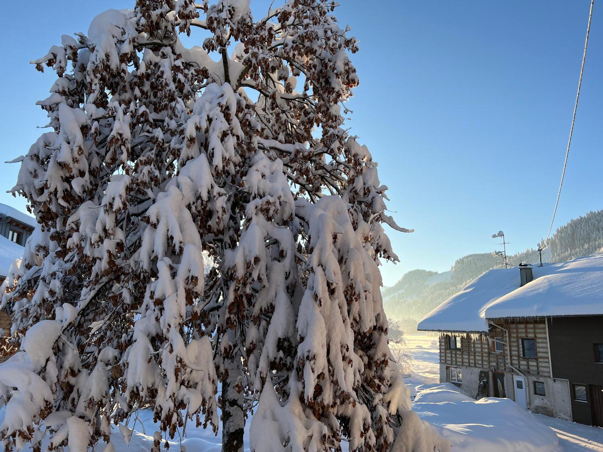 Beim Patzelt - Ferienhaus In Nesselwang Dış mekan fotoğraf