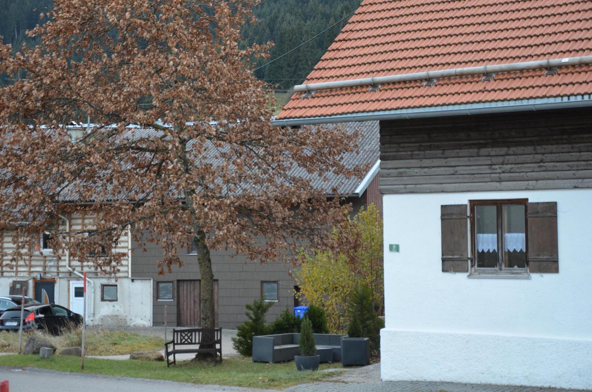 Beim Patzelt - Ferienhaus In Nesselwang Dış mekan fotoğraf